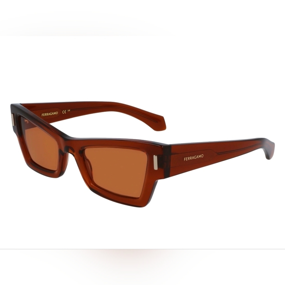 FULL INCLUSION-Ferragamo Brown Rectangular Indoor… - image 2